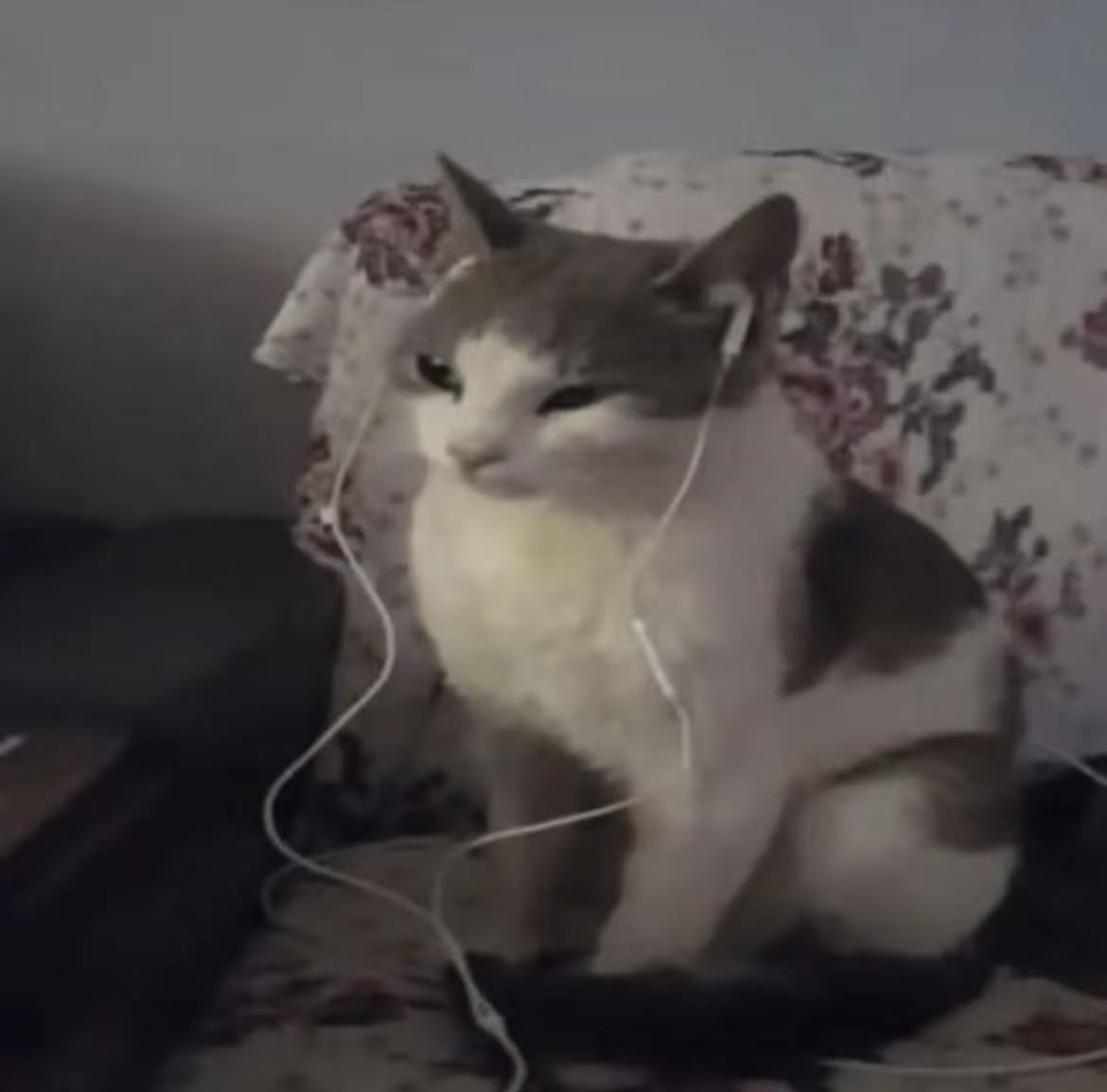 Profile Photo Hover